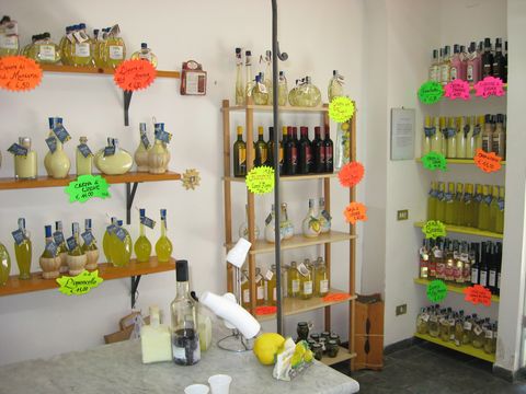 Geheimtipp: Besuch einer Limoncello-Fabrik in Neapel