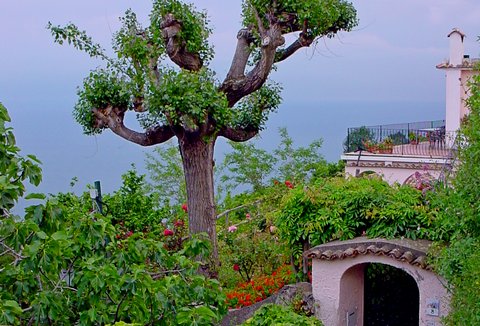 Ravello (© Francesca - Portanapoli.com)