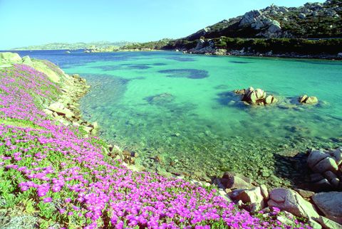 Anreise mit der Fähre von Civitavecchia (Rom) nach Sardinien
