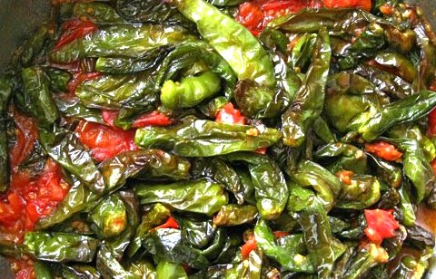 Grüne Paprikaschoten mit Tomaten (Peperonicini verdi al pomodoro)